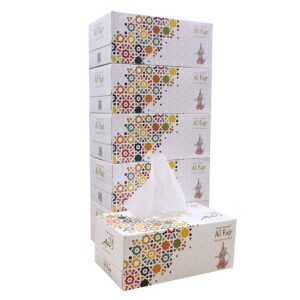 GP Facial Tissue Box - 5 Packs of 200 Sheets